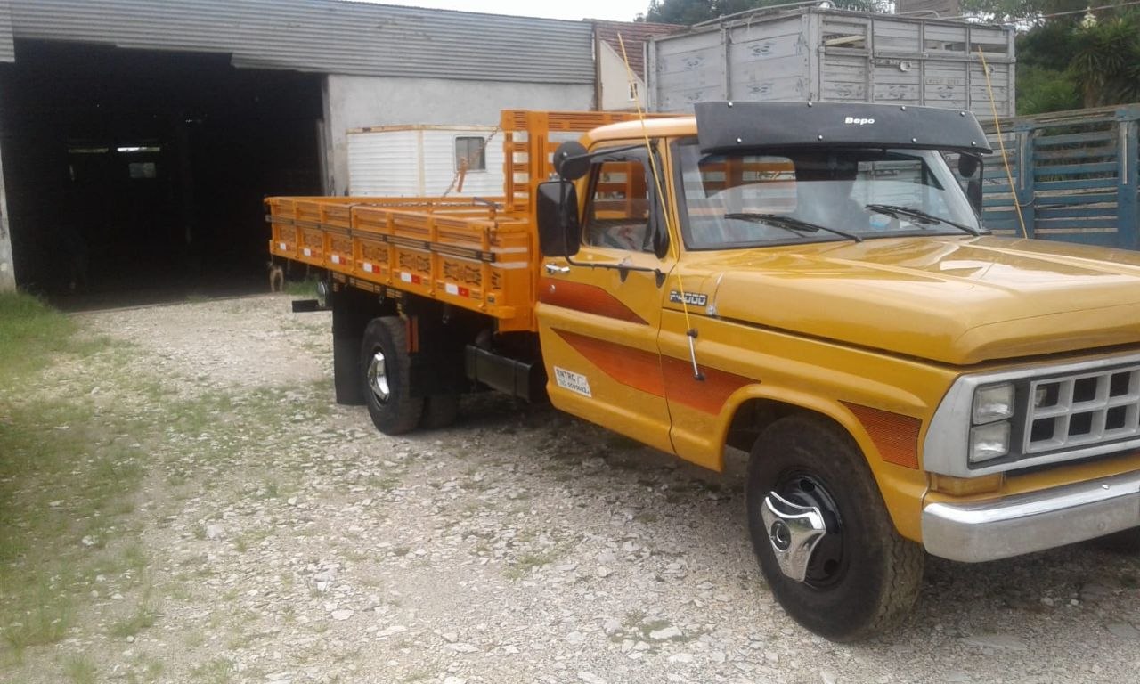 Reforma Estrutural Ford F-4000